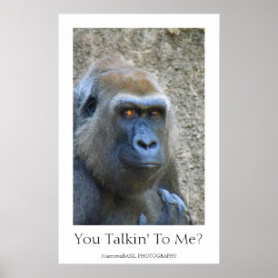 Rolig gorillaaffisch! poster