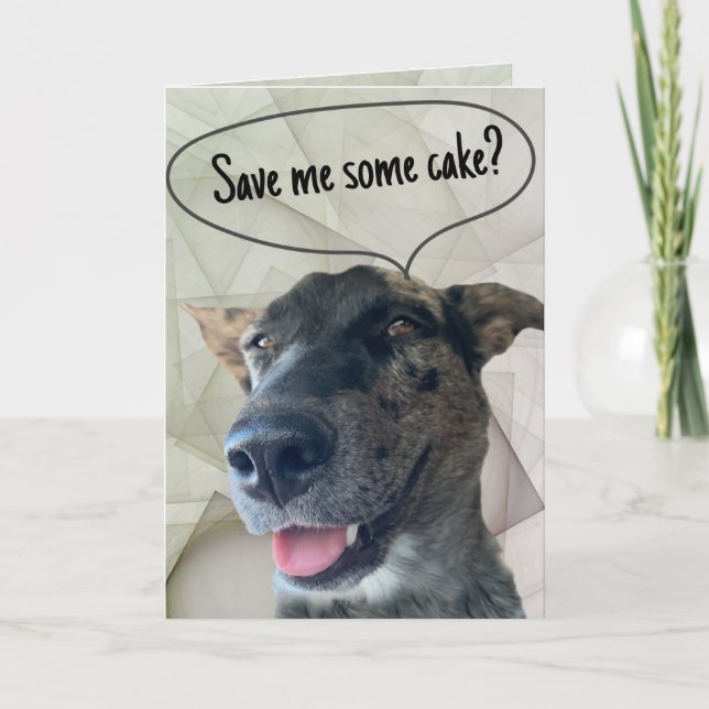 Rolig grå brindle nötkreatur hund fotografi  kort (Framsida)
