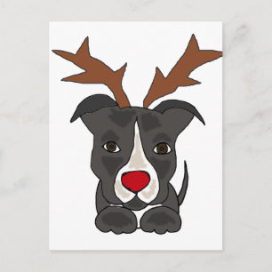 Rolig grå färgPitbull hund som julren Helg Vykort
