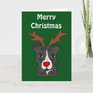 Rolig grå färgPitbull hund som julren Helgkort