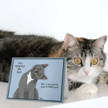 Rolig grå katt pappas dag blå katt