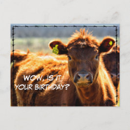 Rolig Grattis Födelsedag Lantgård Post Lantgårds B Vykort