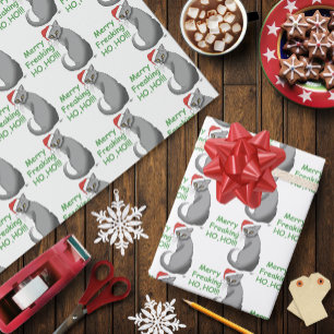 Rolig Grinig Jul Grå Katt Helgdag Humor Presentpapper