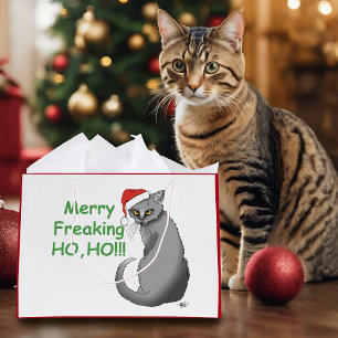 Rolig Grinig Jul Grå Katt Högtid Humor
