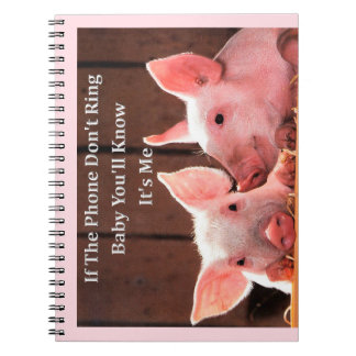 Rolig gris Memes med roligt grisord och Anteckningsbok