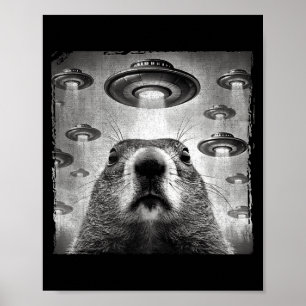 Rolig Groundhog Selfie Med Alien Ufo:er Groundhog Poster