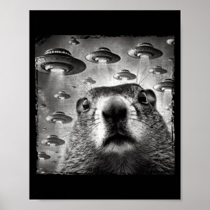 Rolig Groundhog Selfie Med Alien Ufo:s Groundhog D Poster