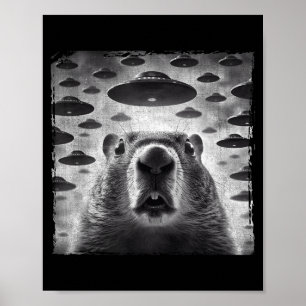 Rolig Groundhog Selfie Med Alien Ufos Groundhog D Poster