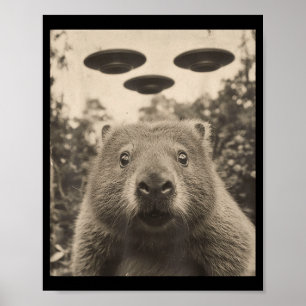 Rolig Groundhog Selfie Med Ufos Konstig Groundhog Poster