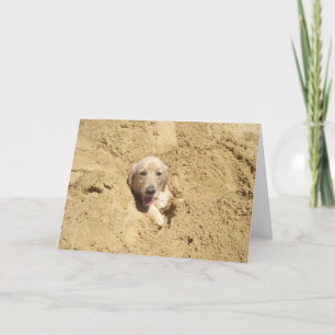 Rolig guld- Retriever Kort