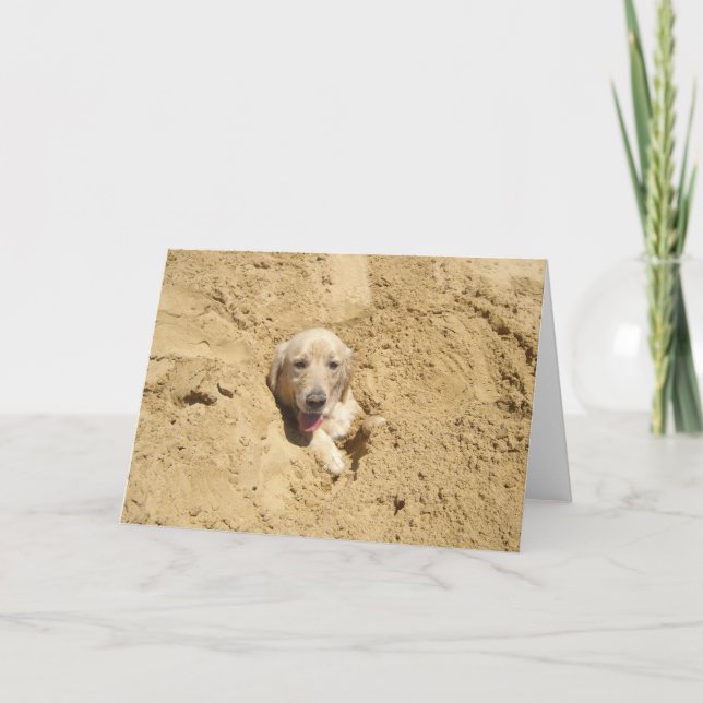 Rolig guld- Retriever Kort (Framsida)
