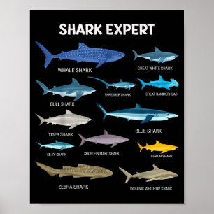 Rolig haj-t-shirt för män Ocean fisk barn & sm Poster