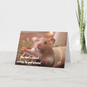 Rolig Hamster I Bur Kärligt Beteende Hälsning Kort