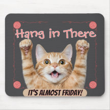 Rolig Häng I Där Det Är Nästan Fredag Katt