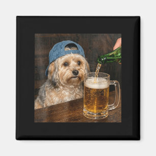 Rolig Havanese-meme med Havanese som dricker öl Magnet
