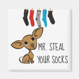 Rolig Herr stöld din sockaChihuahuamagnet Magnet