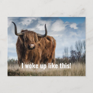 Rolig Highland Ko Foto Jag Vaknade Så Här Citat Vykort