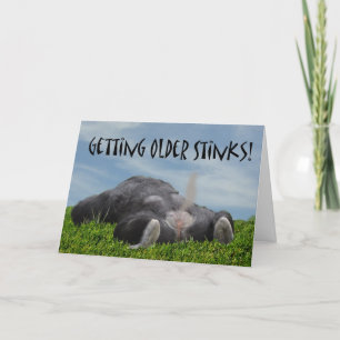 Rolig humoristisk fående äldre apagrattis på kort