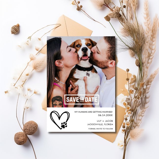 Rolig hund 2 Photo Bröllop Spara Datumet (Funny Dog 2 Photo Wedding Save The Date)