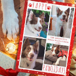 Rolig hund 4 Photo Collage YAPPY PAWLIDAYS Red Julkort<br><div class="desc">Rolig hund Julhälsningar fotokort med 4 bilder med hälsning YAPPY PAWLIDAYS (eller din anpassningsbar hälsning) i modern handskriven typografi som accentueras med hund mot vit och röd bakgrund med tass avtryck och stjärnor. ASSISTANS: Om du vill ha hjälp med designändringar eller anpassning, ändra storlek på färg, flytta designen till en...</div>