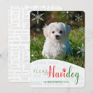 Rolig hund Älskare Fleas NaviDOG Julfoto Julkort