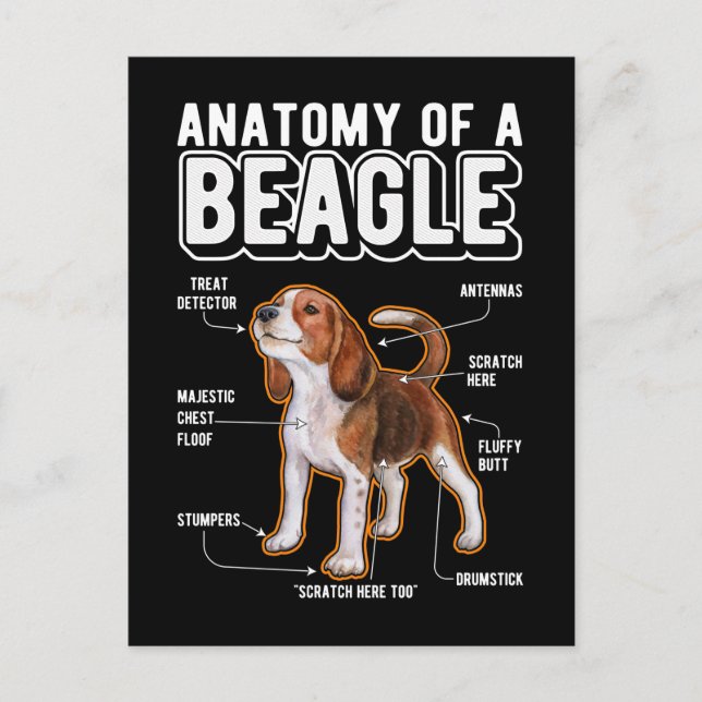 Rolig hund anatomi Beagle Vykort (Framsida)