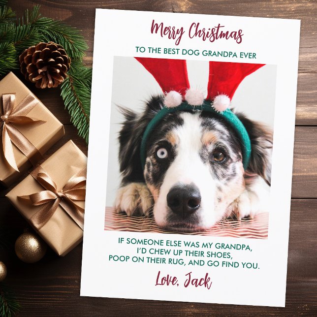 Rolig hund Anpassningsbar Pet Photo Julkort (Skapare uppladdad)