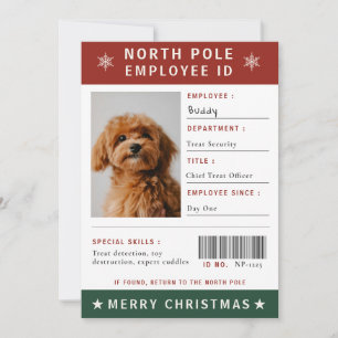 Rolig hund anställnings-ID-foto jul Julkort