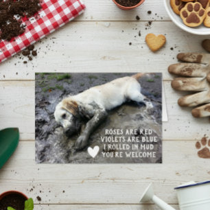 Rolig hund antal på alla hjärtans dag hälsningskort