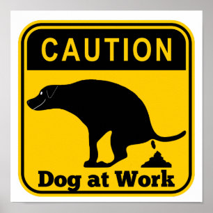 Rolig hund arbete poster