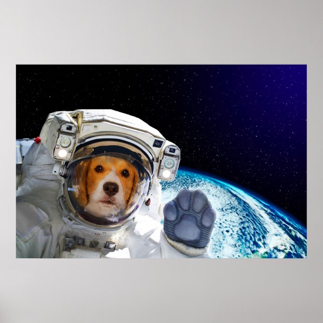 Rolig hund astronaut poster (Framsidan)