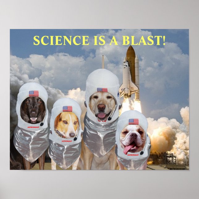 Rolig hund astronauts Science Poster (Framsidan)