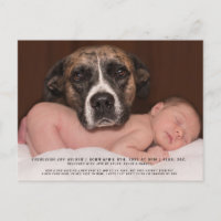 Rolig hund bebis foto födelse tillkännagivande