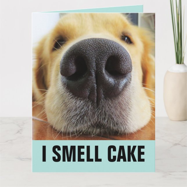 ROLIG HUND BIG BIRTHDAY SMELL CAKE-KORT KORT (Framsida)