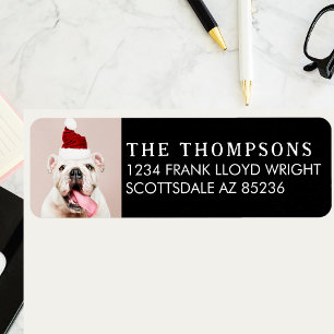 Rolig hund Bild-julkort, Returadress Returadress Etikett