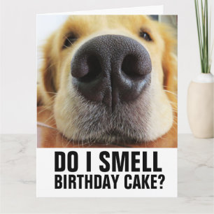 ROLIG HUND BIRTHDAY-KORT KORT