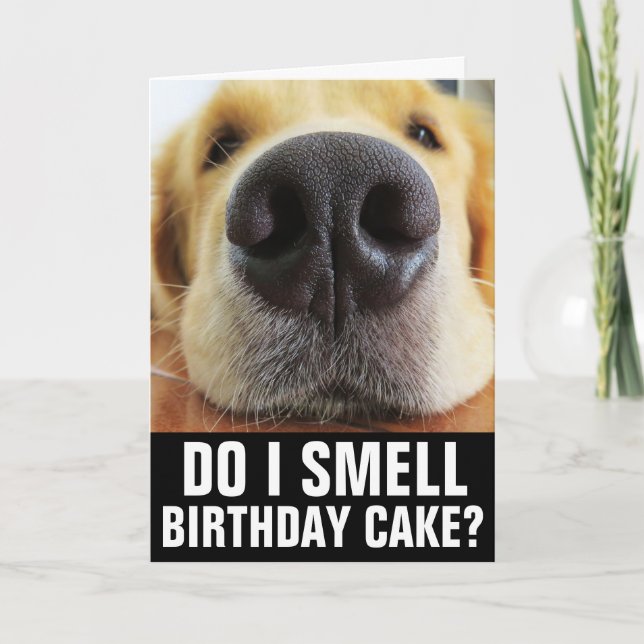 ROLIG HUND BIRTHDAY-KORT KORT (Framsida)