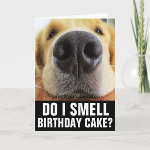 ROLIG HUND BIRTHDAY-KORT KORT