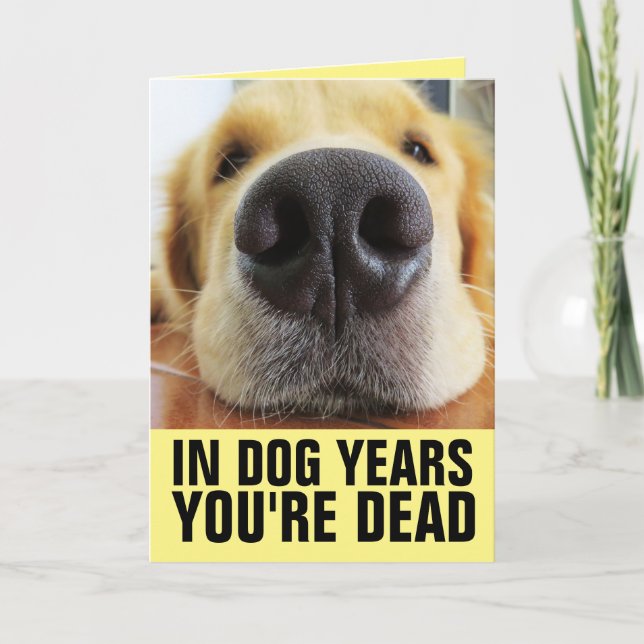ROLIG HUND BIRTHDAY, OM HUND ÄR DU DÖD KORT (Framsida)