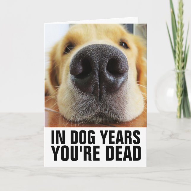 ROLIG HUND BIRTHDAY, OM HUND ÄR DU DÖD KORT (Framsida)