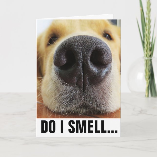 ROLIG HUND BIRTHDAY, SMELL BIRTHDAY CAKE? KORT (Framsida)
