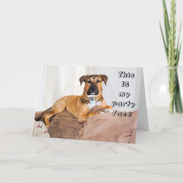 Rolig hund Det här är min födelsedag i Party Ansik Kort (Framsida)