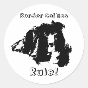 Rolig hund etikett för gräns Collies Rule