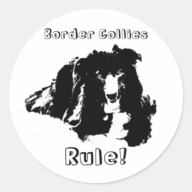 Rolig hund etikett för gräns Collies Rule (Framsida)