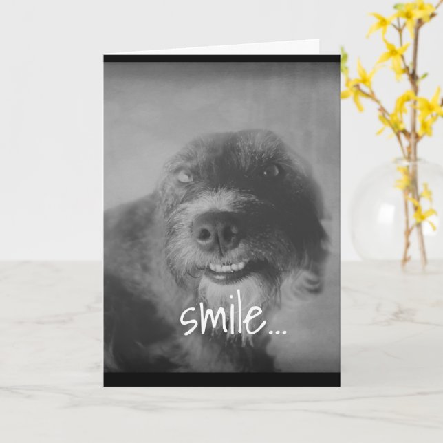 rolig hund födelsedag för svartvita foton kort (Gul blomma)