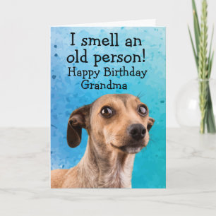 Rolig hund födelsedag kort