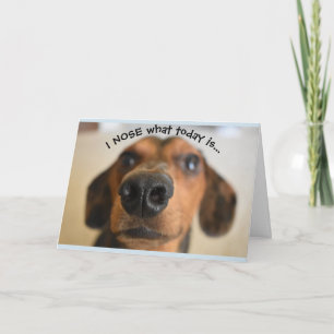 rolig hund födelsedagskort kort
