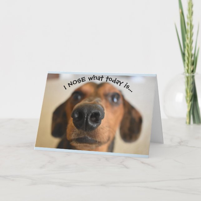 Rolig hund födelsedagskort kort (Framsida)