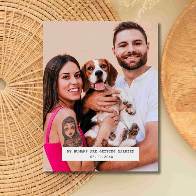 Rolig hund foto bröllop Spara datum Meddelande Vykort (Funny Dog Photo Wedding Save the Date )
