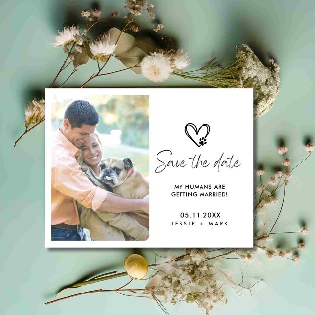 Rolig hund foto bröllop Spara datum Meddelande Vykort (Funny Dog Photo Wedding Save the Date)